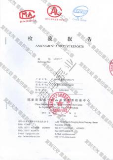 Inspection report flameproof brushless DC motor