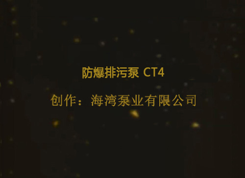 防爆排污泵 CT4