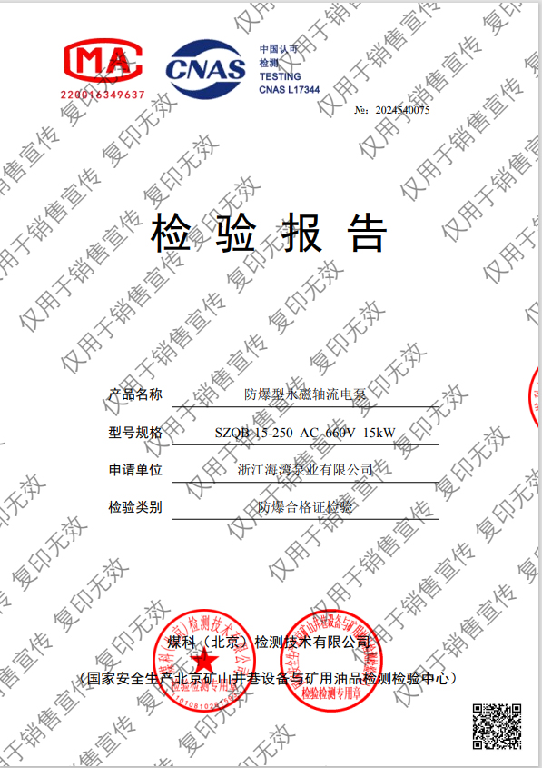 防爆型永磁軸流電泵檢測報告 